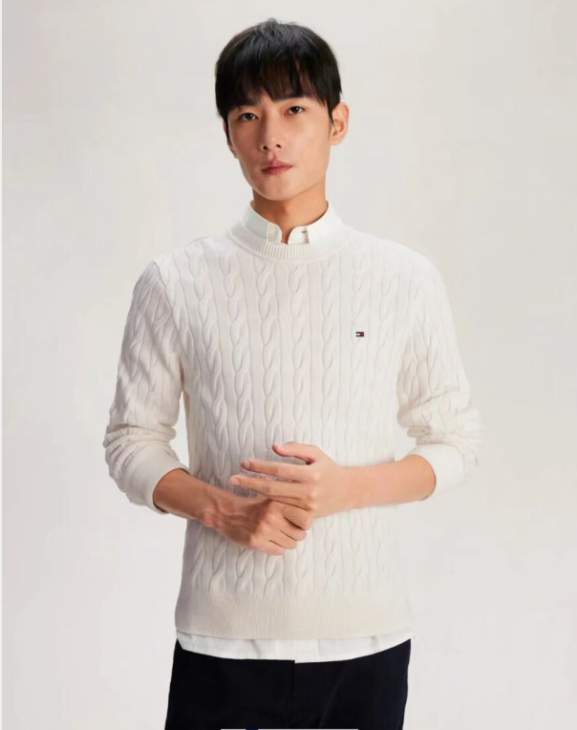 Picture of Tommy Sweaters _SKUTommyM-2XL9tzn313248806